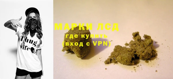 spice Мамадыш